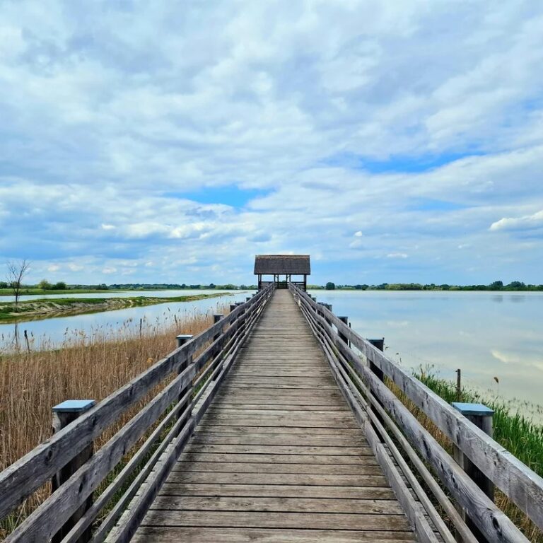 „Föld – Levegő – Víz – Tűz”